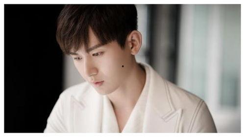 吃瓜娱乐圈成毅,从默默无闻到争议不断的娱乐圈新星