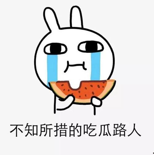 娱乐吃瓜酱没有那么惨,揭秘“没有那么惨”背后的真相与反思